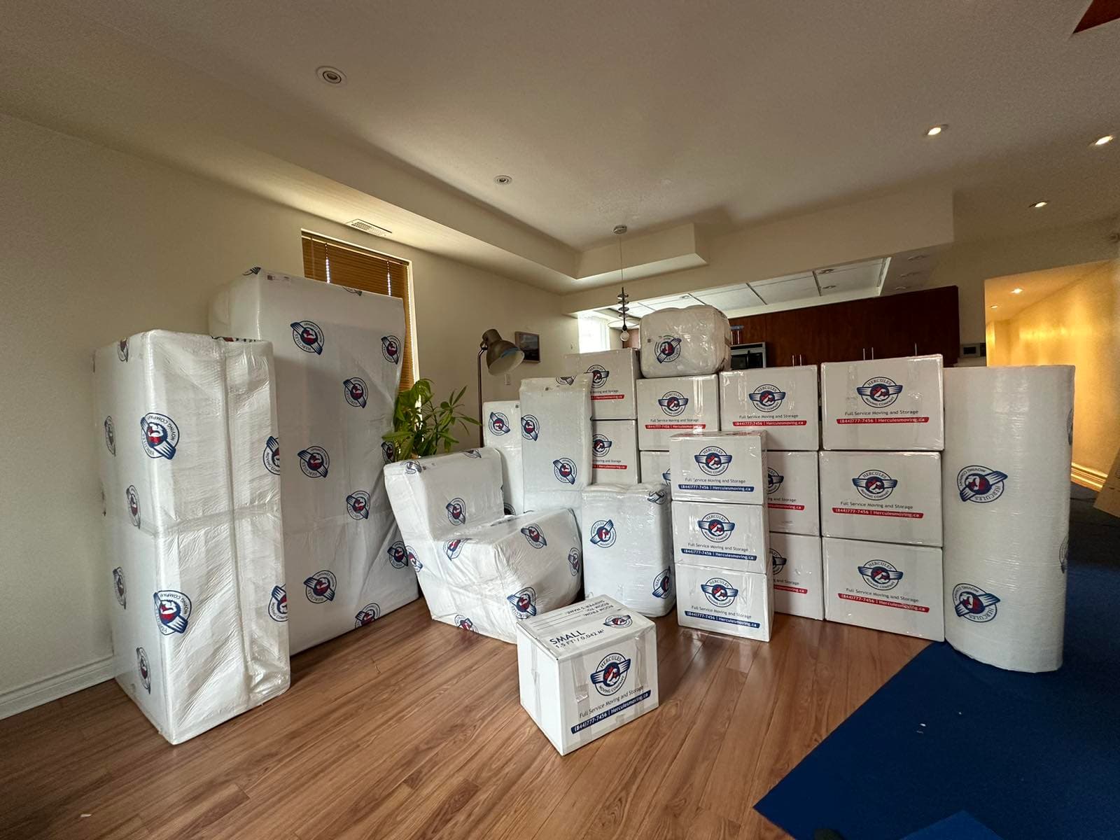 Alligator wrap for Overseas Moving