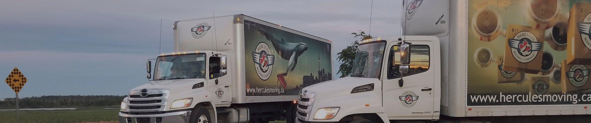 hercules moving company trucks
