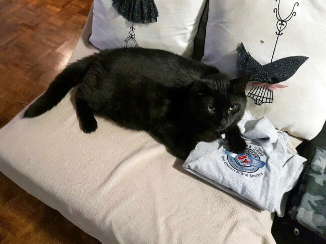 Cat and Hercules t-shirt