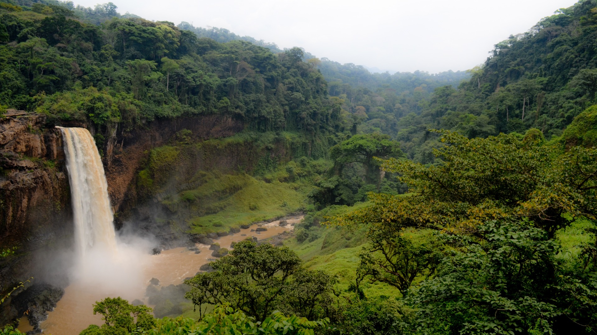 Hercules Moving Company Background Image